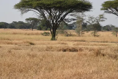 DSC_3393 (Large).JPG